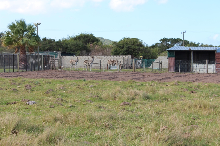 5 Bedroom Property for Sale in Bathurst Eastern Cape